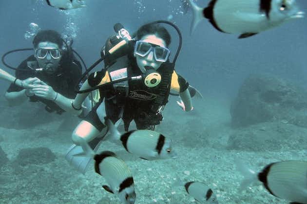 Alanya에서의 스쿠버 다이빙 경험