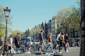 Tour privato: attrazioni della città di Amsterdam e gemme nascoste