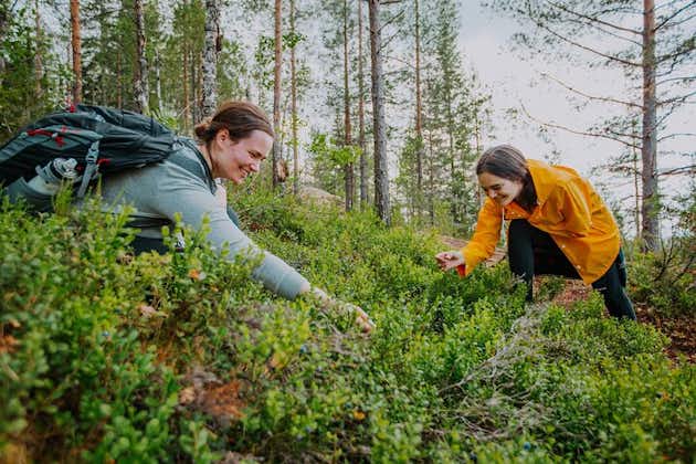 Vandre- og madlavningseventyr for små grupper i en finsk skov