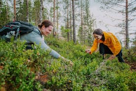 Vandre- og madlavningseventyr for små grupper i en finsk skov