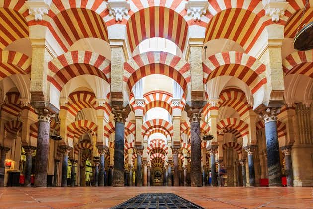 Visita guiada a la mezquita-catedral de Córdoba con entrada de acceso prioritario