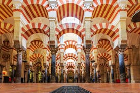コルドバのモスク大聖堂1時間ガイドツアー