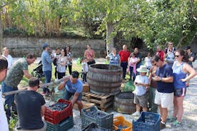 Visite de dégustation de vins de Pompéi au départ de Positano