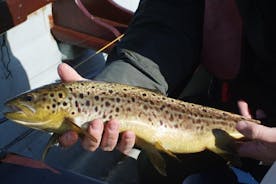 Galway: Wild Brown Trout Fly Fishing on Lough Corrib
