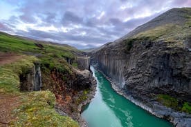 Koko päivän Stuðlagil Canyon ja Vök Baths -opastettu kierros