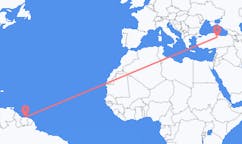 Flyreiser fra Paramaribo, Surinam til Tokat, Tyrkia