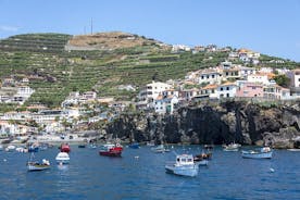 Elävä meriveneretki Madeiralla