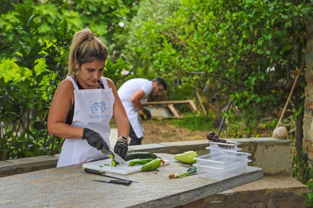 Van boerderij tot tafel-ervaring op het eiland Tinos