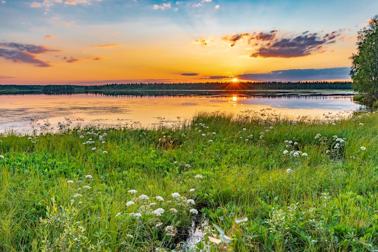 Photo of lovely sunset at Rovaniemi in Finland.