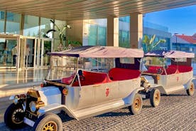 Private Sightseeing Tour in Dubrovnik with a Classic Old Car