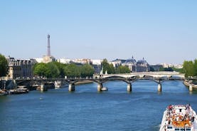 Sejltur på Seinen og kanalerne i Paris