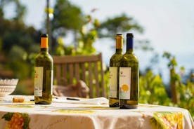 Trekking in de wijngaard in Vernazza met proeverijen