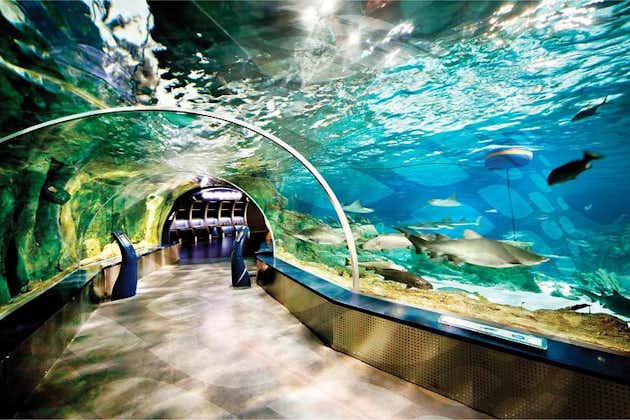 Istanbul Aquarium en op eigen gelegenheid winkelen in Aqua Florya