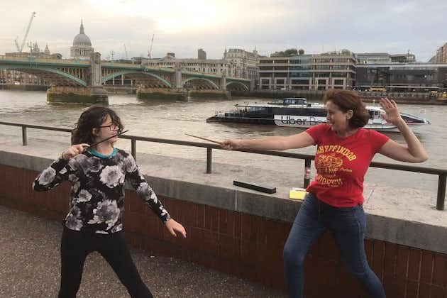 Londons Palace Parliament och Harry Potter Walking Tour