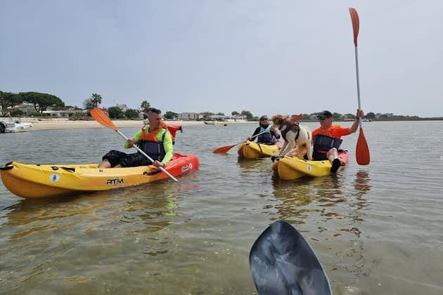 Tour guidato privato di mezza giornata in kayak dell'isola