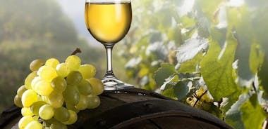 Kusadasi privat kystudflugt: Efesos, vingård og frokost på Seven Sages Winery