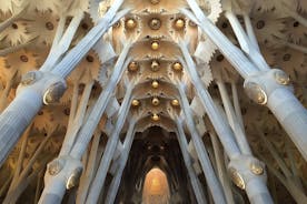 Privat komplett Gaudi-opplevelse i Barcelona (2 dager) med hotellhenting