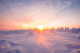 Photo of stunning sunset view over wooden huts and snow covered trees in Kuusamo, Finnish Lapland.