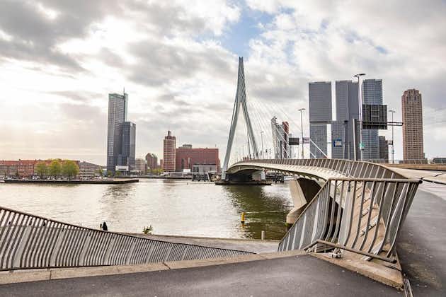 Rotterdam architectural : visite privée avec un expert local