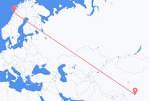 Flights from Luzhou to Bodø