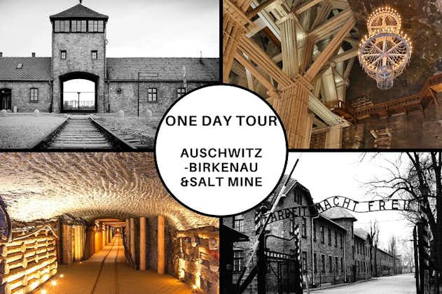 Cracovia: Auschwitz-Birkenau y visitas guiadas a las minas de sal en un día