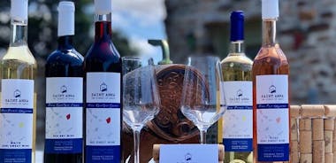 Wine Tasting and Tour in Saint Anna Winery in Naxos