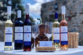 Vinsmagning og rundvisning i Saint Anna Winery i Naxos