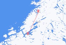 ノルウェーのから ナムソス、ノルウェーのへ トロンハイムフライト