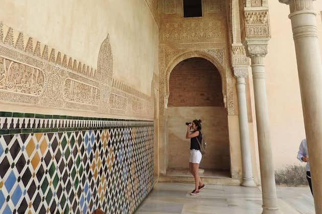 Visita Alhambra diurna (10 personas)