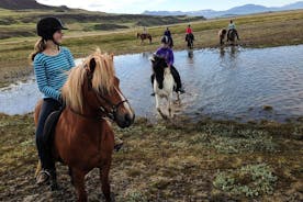 Horse Riding Tour to the Glacier River Delta with Waterfall