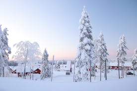 Kajaani - city in Finland