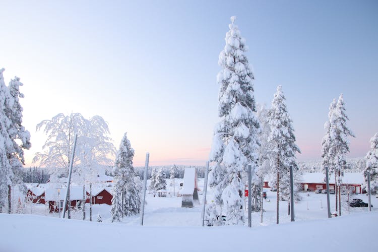 Photo of Winter in Rovaniemi North Finland.