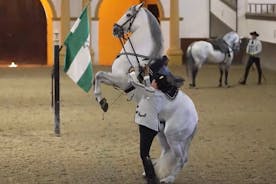Jerez e Cádiz com Vinícola Tio Pepe e Show de Cavalos de Sevilha