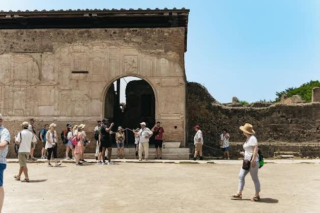 Pompei and Mount Vesuvius Wine Tasting Private Tour from Sorrento