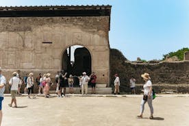 Pompei and Mount Vesuvius Wine Tasting Private Tour from Sorrento