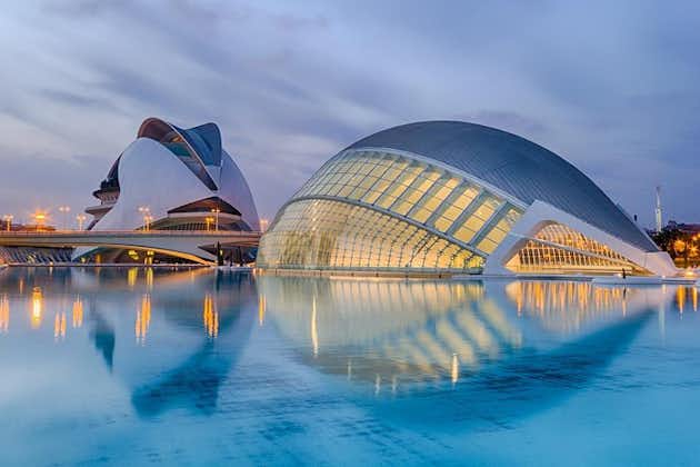 4-Day Guided Tour Valencia & Barcelona from Madrid