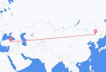 Flyrejser fra Harbin, Kina til Sivas, Tyrkiet