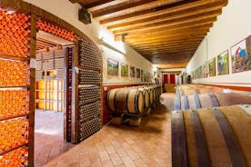 Winery Agriturismo Santo Stefano Castiglion Fiorentino (6 types of wine)