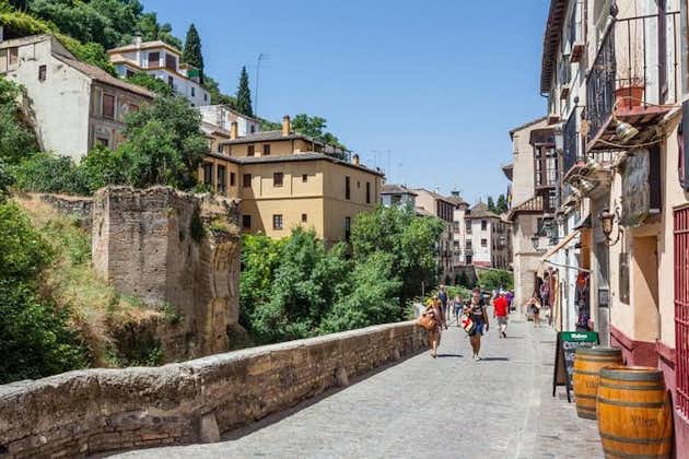 Fai un'escursione al tour del fiume di Granada