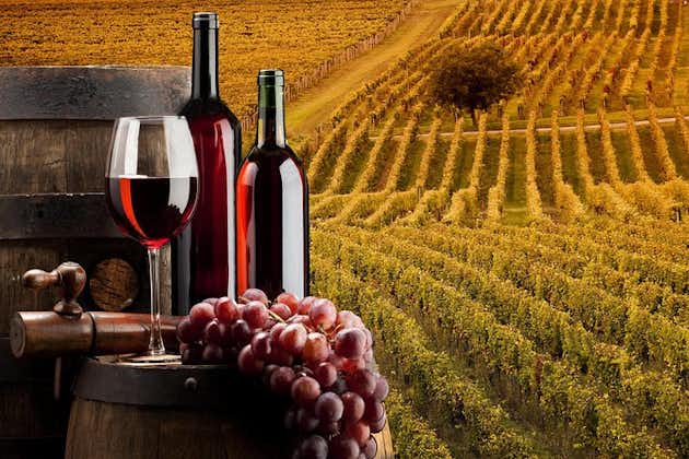 Visite privée de Bella Toscana: 2 établissements vinicoles du Chianti et San Gimignano à partir de Livourne