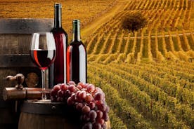 Visite privée de Bella Toscana: 2 établissements vinicoles du Chianti et San Gimignano à partir de Livourne