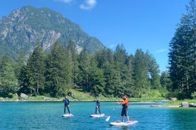 Stand-Up Paddleboarding de medio día en el lago Predil