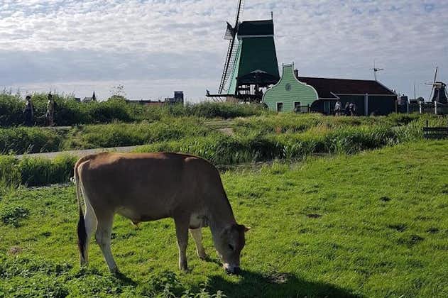 Amsterdam City & Countryside Tour: The Best of both Worlds