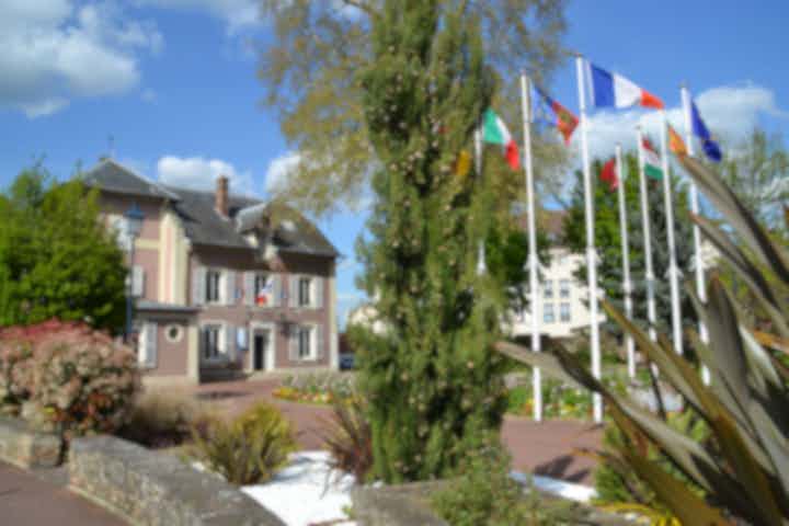 โรงแรมและที่พักในแดมมารี-เล-ลีส์ ฝรั่งเศส