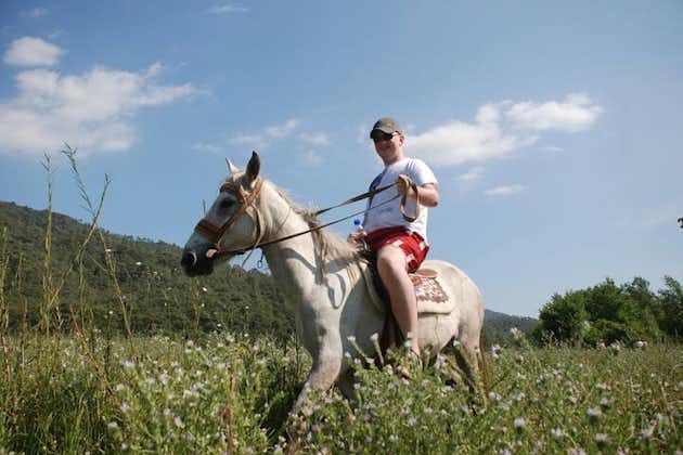Tour a caballo en Bodrum con recogida en el hotel