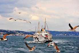 Bosphorus boot- en bustour in de middag met de kabelbaan van Pierre Loti Coffee