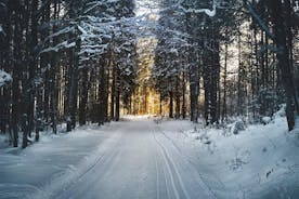 CROSS-COUNTRY SKIING: Winter trip to Bohemia mountains