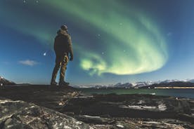 Tur på jagt efter nordlyset i Tromsø