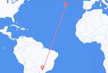 Flyreiser fra Londrina, Brasil til Terceira, Portugal