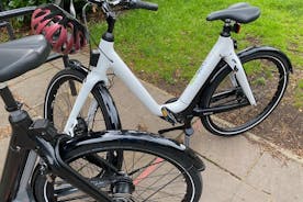 Oxfordshire의 반나절 개인 포도원 전자 자전거 투어